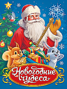 Neujahrswunder