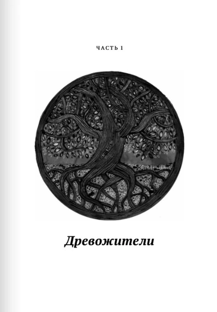 Долина драконов