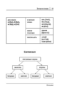All the Rules of the Russian Language in Diagrams and Tables