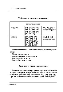 All the Rules of the Russian Language in Diagrams and Tables
