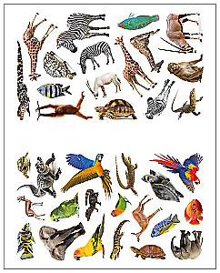 Photo Stickers. In Africa