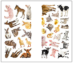 Photo Stickers. In the Village