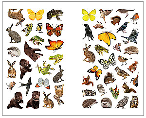 Photo Stickers. In the Forest