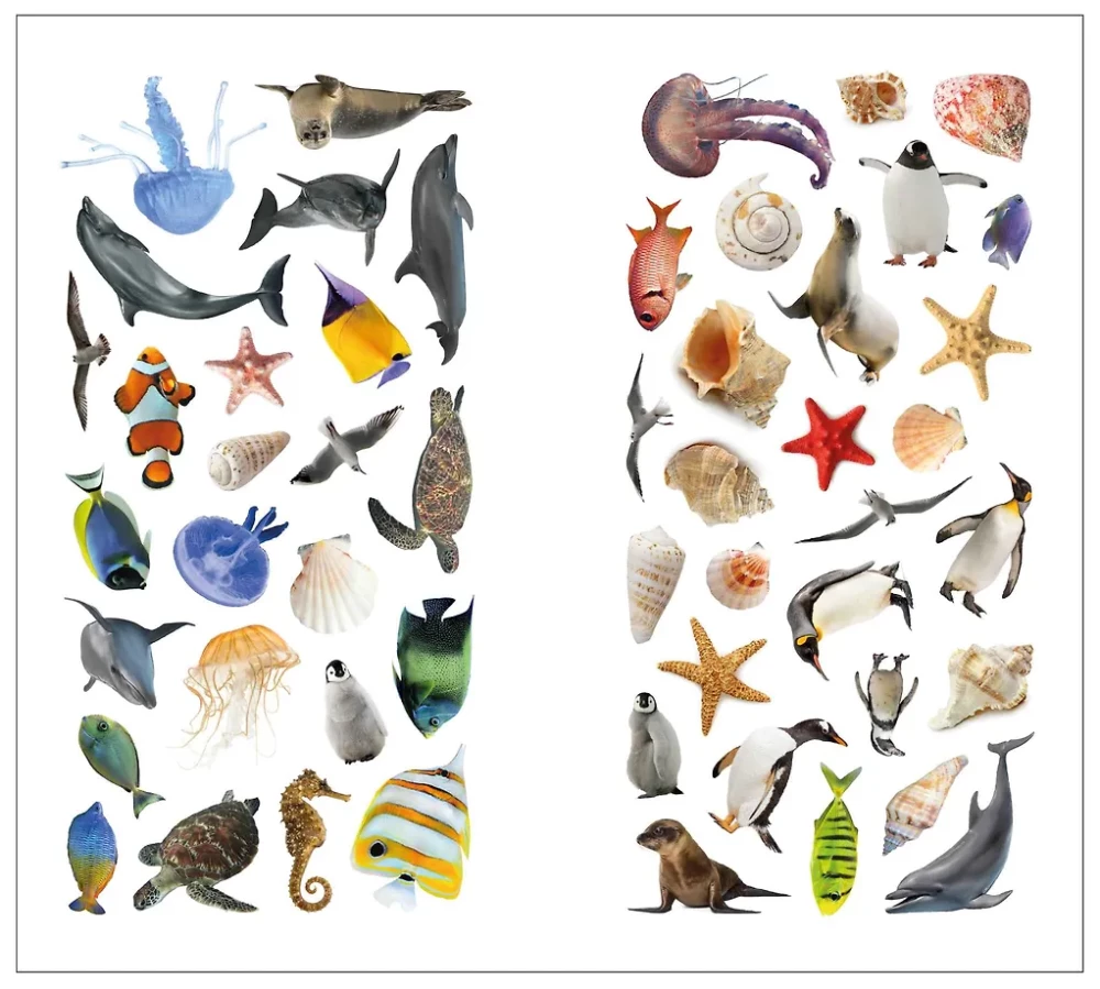 Photo Stickers. In the Sea