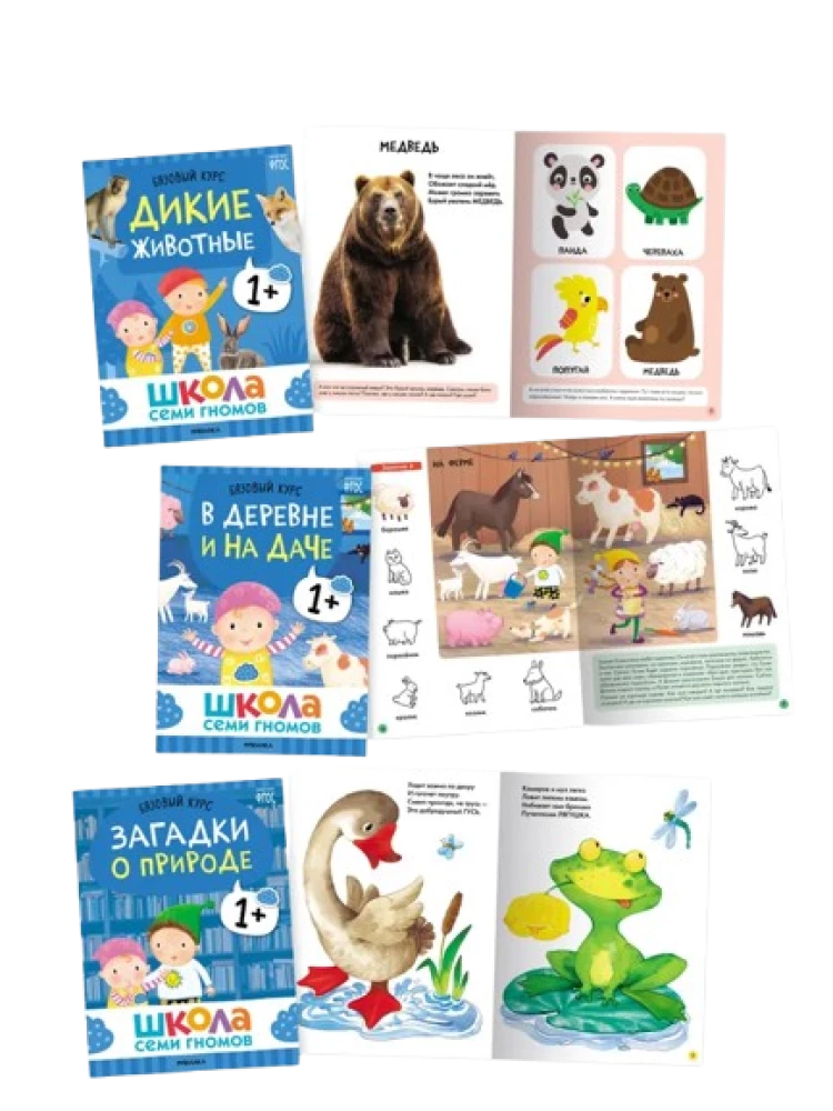 Septiņu rūķu skola. Gada pamata kurss. Komplekts 1+