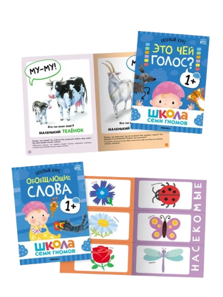 Septiņu rūķu skola. Gada pamata kurss. Komplekts 1+