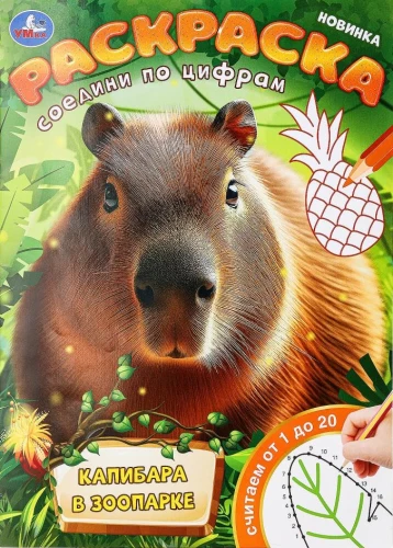 Kapibara w zoo