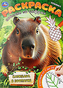 Kapibara zoologijos sode