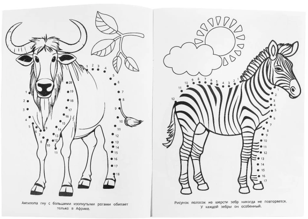 Kapibara zoologijos sode