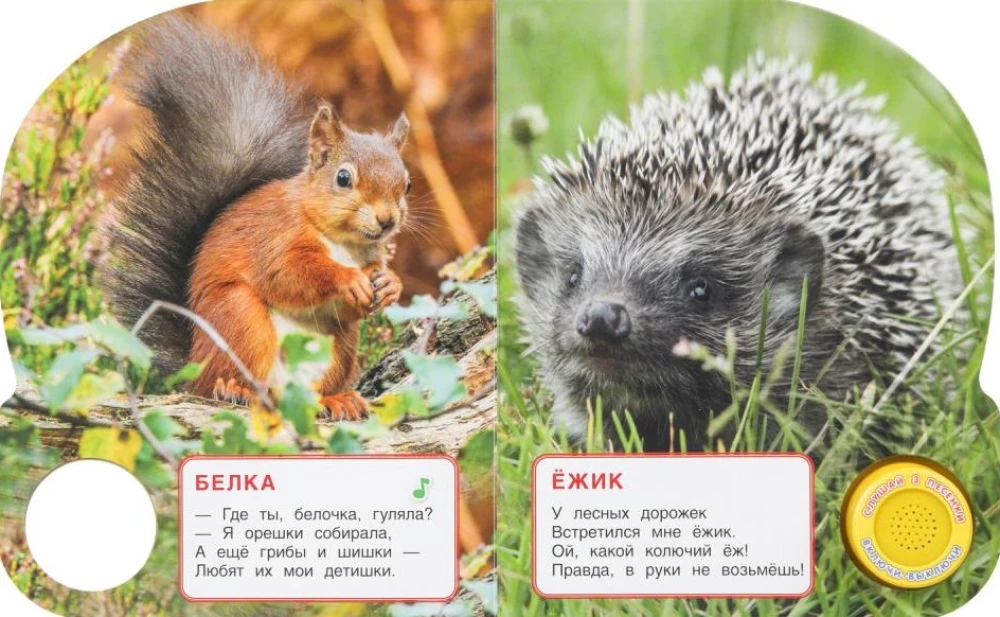 Miškų gyvūnai