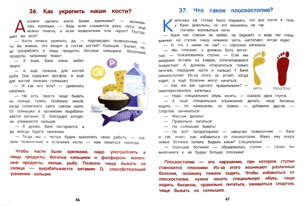 How the Human Body Works. An Encyclopedia for Kids in Fairy Tales