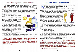 How the Human Body Works. An Encyclopedia for Kids in Fairy Tales