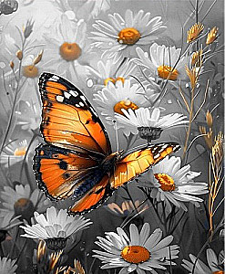 Painting by numbers 40x50 cm - Monarch Butterfly in Daisies, LED backlight