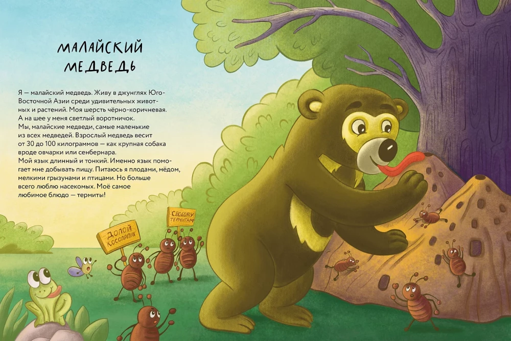 Koso lapės meškos