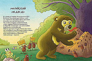 Koso lapės meškos