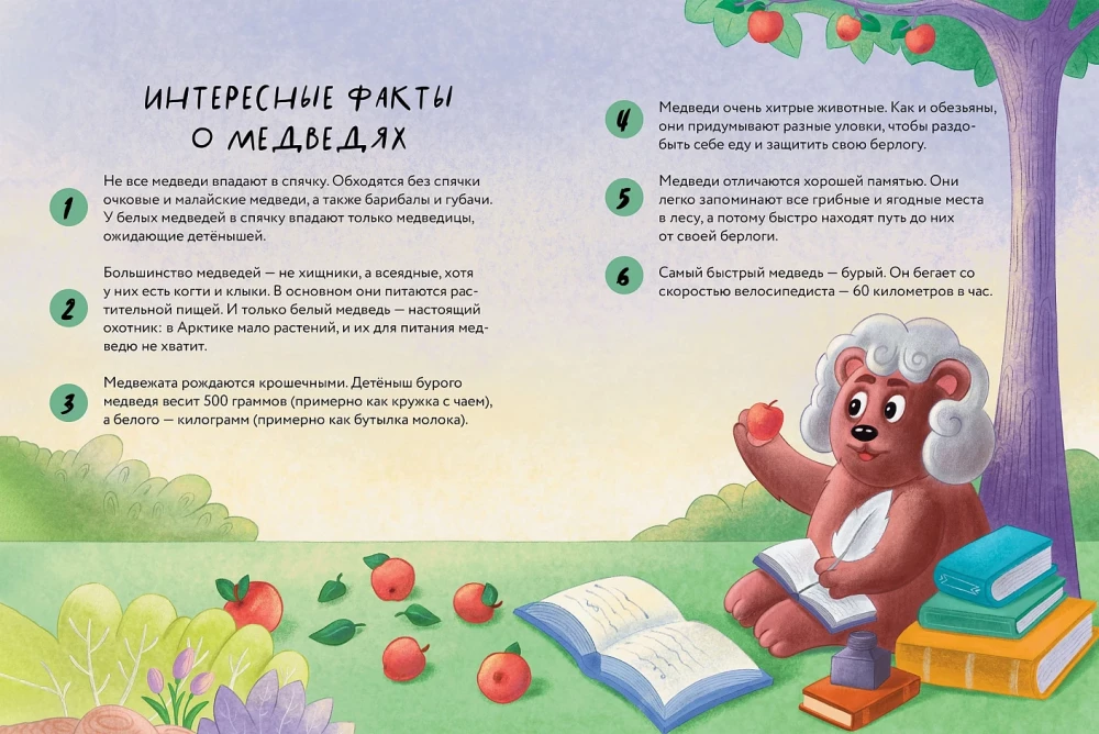 Koso lapės meškos