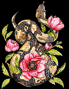 Painting by numbers 30x40 cm - Snake in Peonies