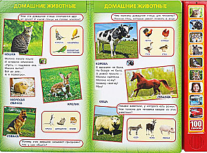 Chrząszcze świata