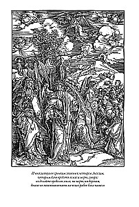The Bible. New Testament engravings by Dürer