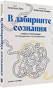 In the Labyrinth of Consciousness. Illustrated Guide to Psychiatry