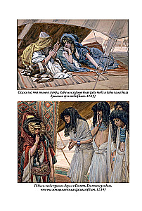 Die Bibel. Das Alte Testament. Buch 1+2