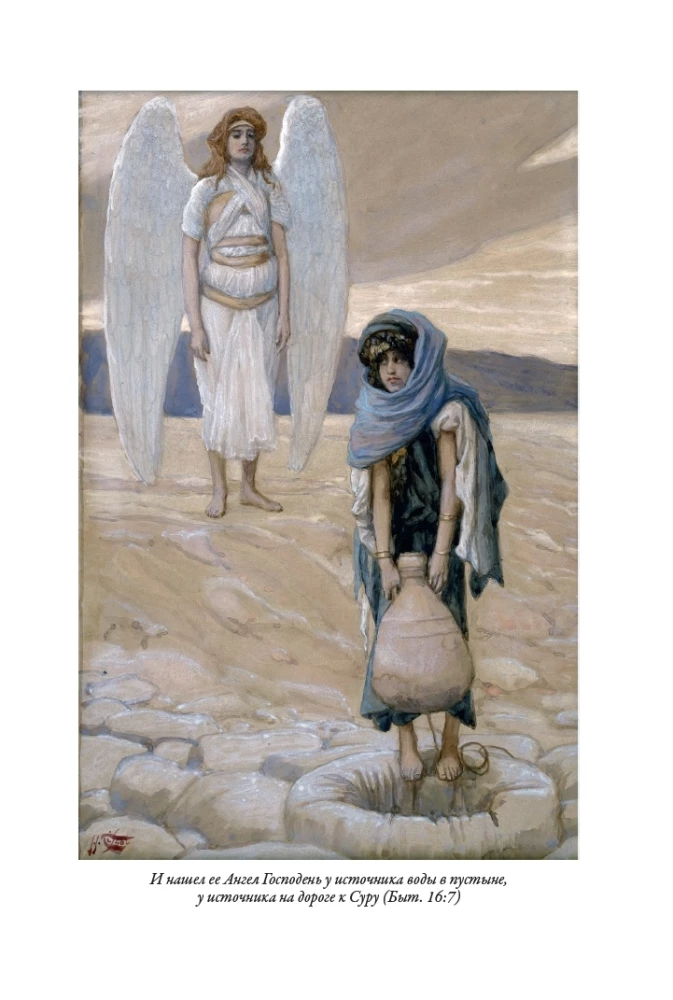 Die Bibel. Das Alte Testament. Buch 1+2