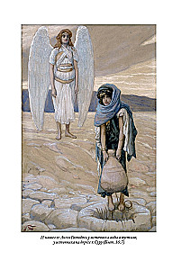 Die Bibel. Das Alte Testament. Buch 1+2