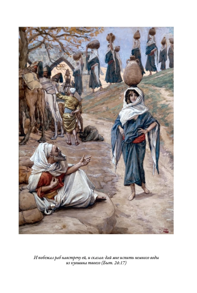 Die Bibel. Das Alte Testament. Buch 1+2