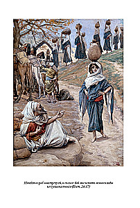 Die Bibel. Das Alte Testament. Buch 1+2