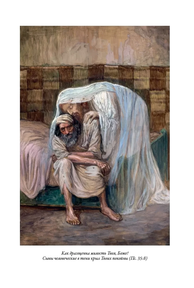 Die Bibel. Das Alte Testament. Buch 1+2