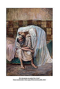 Die Bibel. Das Alte Testament. Buch 1+2