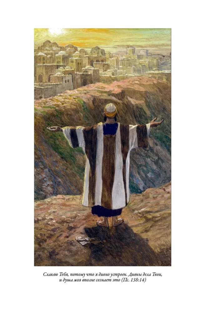 Die Bibel. Das Alte Testament. Buch 1+2