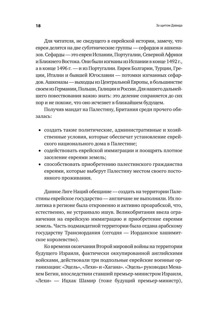 Dovydo skydas. Izraelio karininko apmąstymai apie žvalgybą, kariuomenę, žmones ir šalį