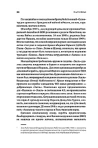 Dovydo skydas. Izraelio karininko apmąstymai apie žvalgybą, kariuomenę, žmones ir šalį