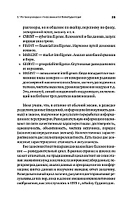 Dovydo skydas. Izraelio karininko apmąstymai apie žvalgybą, kariuomenę, žmones ir šalį