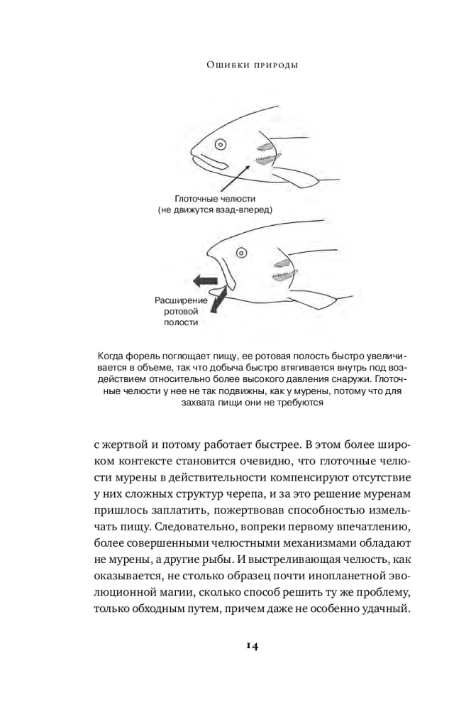 Gamtos klaidos: Ribos ir natūralios atrankos netobulumas