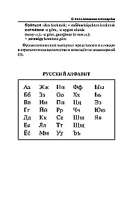 Популярный турецко-русский русско-турецкий словарь