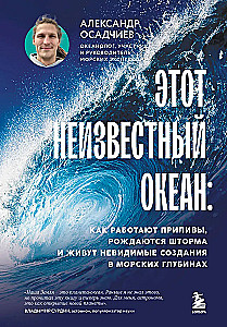 Этот неизвестный океан: как работают приливы, рождаются шторма и живут невидимые создания в морских глубинах