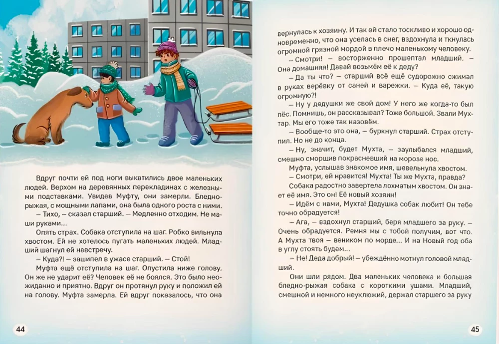 Новогодняя книга. Сказочные истории