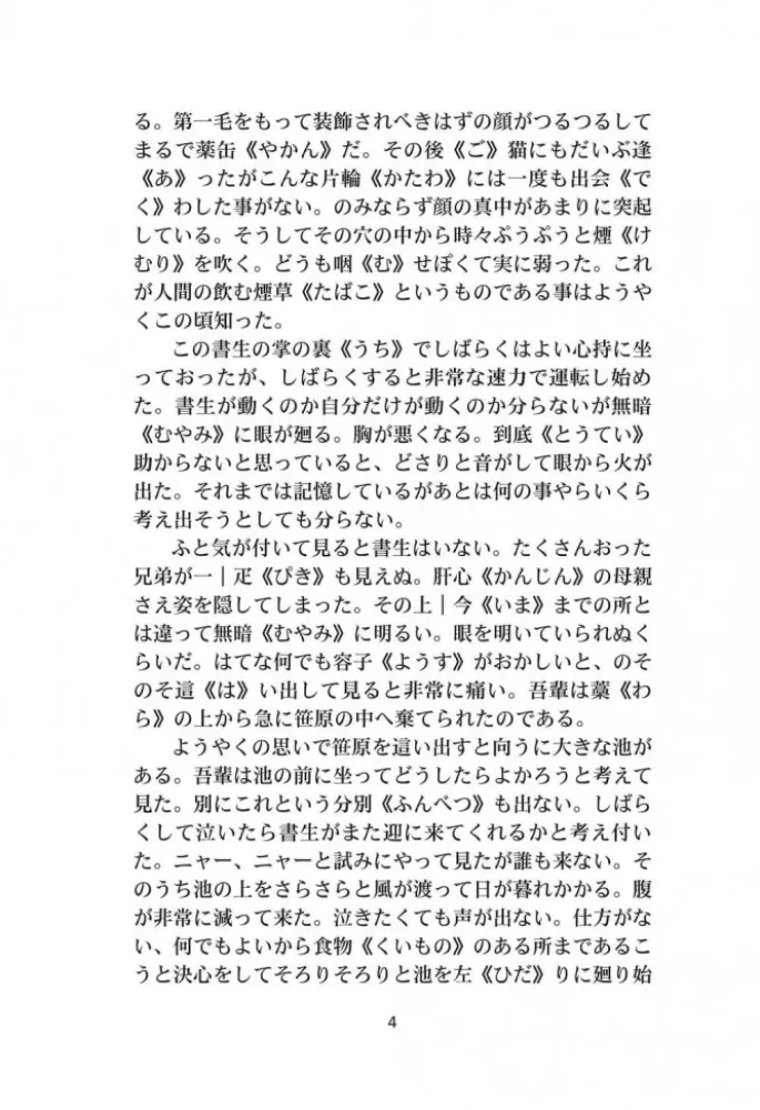 Jūsų nuolankus tarnas katė | Knygos japonų kalba