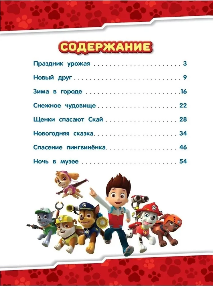 Šuniukų patruliavimas. Žiemos nuotykiai