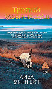 Pamiršusių sielų takas