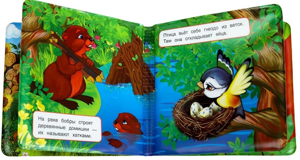 Książka-grzechotka do wanny - Czyj domek?