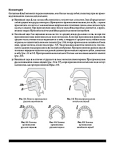 Selbstlernbuch. Chinesisch für Anfänger. Dritte überarbeitete Auflage + Audiokurs