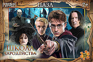Puzzle - Võlukool, 260 tükki