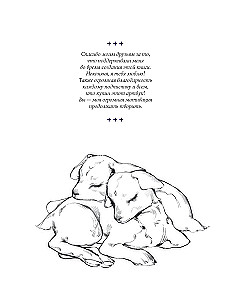 Mugenoumi. ARTBOOK