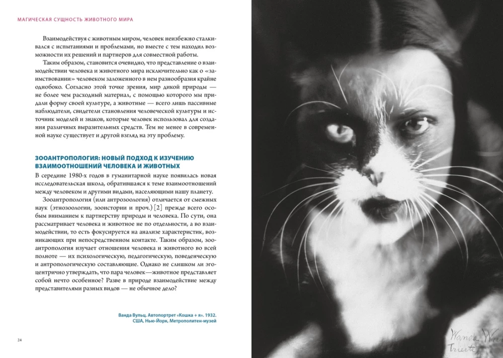 Магические животные. Магические растения (комплект из 2-х книг в коробе)