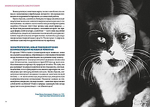 Магические животные. Магические растения (комплект из 2-х книг в коробе)