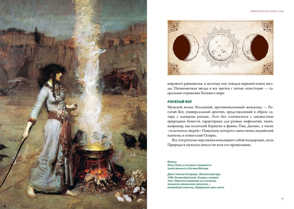 Магические животные. Магические растения (комплект из 2-х книг в коробе)