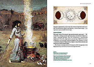 Магические животные. Магические растения (комплект из 2-х книг в коробе)